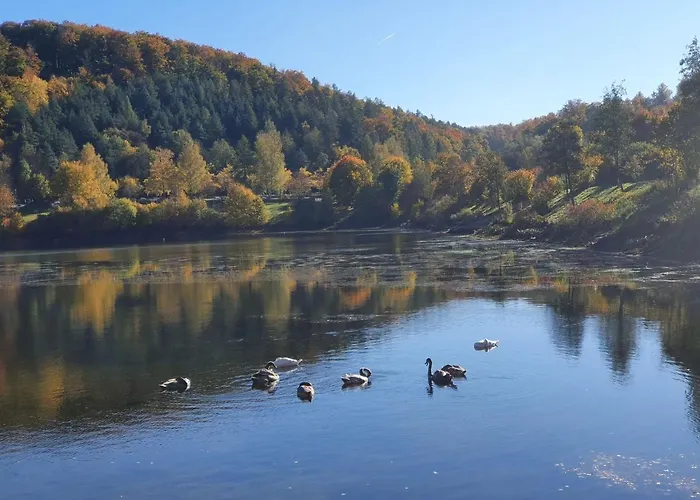 Prázdninový dům Bude 92 By Interhome