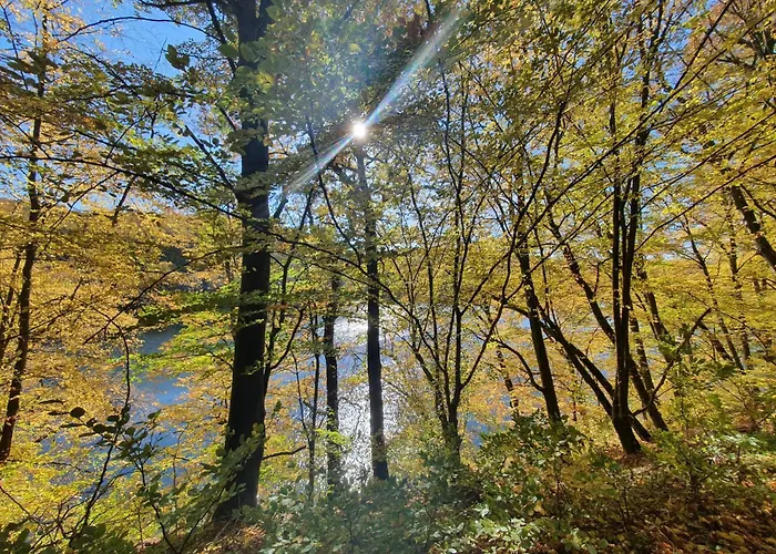 Bude 92 By Interhome Prázdninový dům